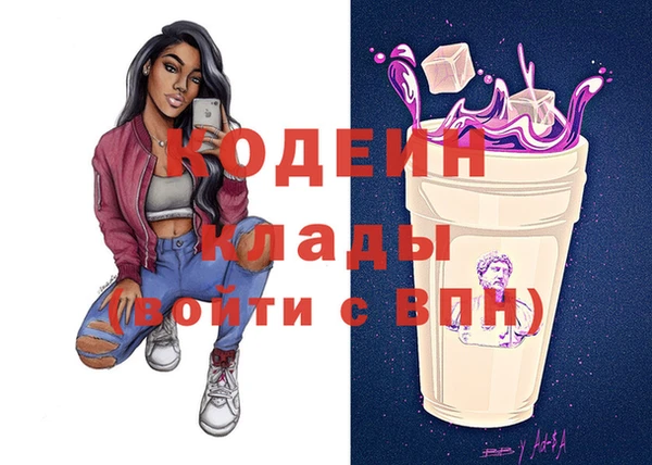 хмурый Арсеньев