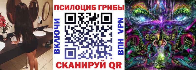 Купить закладки  Семёнов  Псилоцибиновые грибы Magic Shrooms 